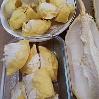 这两天超级满足。怀孕后就没有忌口，老妈和婆婆都说，想吃什么就吃什么，太在意反而不好。吃的下东西才...