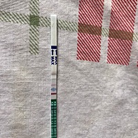 今天是来月经的日子，早上测了下，这是确定怀了么？各位美女～ 昨天肚子胀，有点坠，完全是来月经的症状...