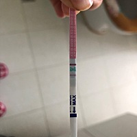 4.7来的末次月经，提示23号排卵，昨天是白板 所以觉得没有希望，今早上突发奇想，就测了个排卵试纸，过...