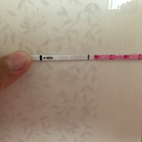 因为好奇大家说排卵试纸阳性，有怀孕的可能，今天是姨妈延迟的第二天，心血来潮大中午的拿了个排卵试纸...