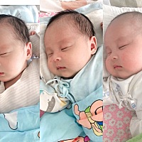 42天，一头猪的成长过程……