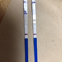 我嫂子说看这个没怀孕了，让姐妹们看看这个有没有？