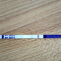 这是怀孕吗？？