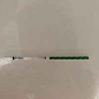 这是怀孕还是没怀，眼睛快看瞎了