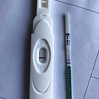 感谢小姐姐们的热情，分别用试纸和验孕棒测了晨尿，确实有加深，大卫的颜色要淡一点 照片