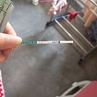 帮我看下又没有不太会看