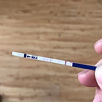 应该是3月15日来月经的，一直没来。最近在备孕阶段……请大家帮忙看一下