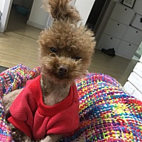 已经超预产期3天了，一点动静都没有……有点担心