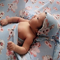 我的小兮兮、怎么都看不够😘