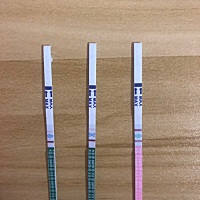 不知道这是有没有怀孕，怕炸胡，不敢确定，最后一次月经是3月1号，第一张图片粉色那个是排卵试纸，绿色...