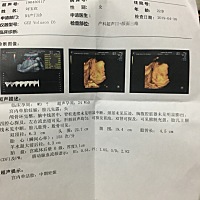 宝妈们，猜猜看是佩琦还是乔治😃