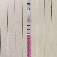 促排，周期第11天，今天金秀儿排卵试纸强阳。去监测排卵，右边17*14，内膜11.6B，有点厚了，而且医生说...