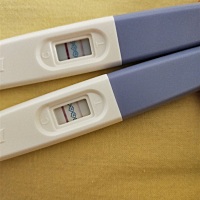 试纸条昨晚测的，上图俩今早测的。排卵日4.19同房，按正常情况5.3号来大姨妈，推迟一测，这是中奖了嘛，...