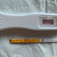 排卵之后第11天.早晨刚刚测出来2个不一样.今天测早孕试纸比昨天显的快加深了.验孕棒完全没反应.不知道那...