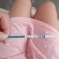 这是有还是没有