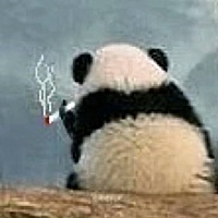 夫妻本身之间没了话题，没有争吵，没有激情，过于平淡的生活把原本相互吸引的两个人硬生生磨的没了激情...