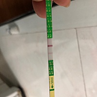 朋友们，刚刚测得~这是怀孕了吗？😱😱😱 21号排的卵，大姨妈还没来，刚刚测得，有点激动