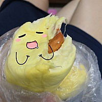 大爱冷冻过的榴莲！