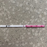 在上个月来月经日期前两天测的，是有了吗？