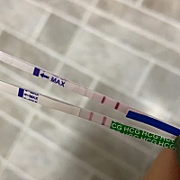 有会看的吗