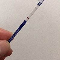 应该是有了，2天都测出2条，请问各位宝妈，怀孕可以染头发，做美甲美睫吗？原定下个月拍的婚纱照，所以...