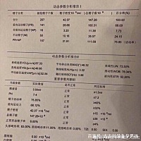 备孕男孩，女人气血问题重要吗