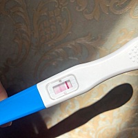 4.25促排然后同房后11天了、结果是怀了呢！还是没代谢完呢！