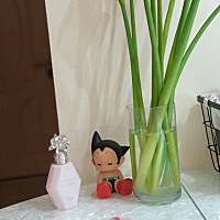 今天老公告诉我婆婆昨天手摔断了，带婆婆去了医院，我们昨晚去婆婆家吃晚饭婆婆也没告诉我们，就自...