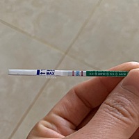 无体检无刻意备孕，你悄悄地来到了我的肚肚里，虽然现在感受不到你的存在，但是两条杠说明你真实地出现...