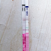 还有六天就大姨妈了，用测早孕是白板，用测卵的确实两个印，一个是大卫，一个是金秀儿。这是什么情况，...