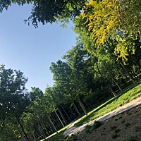 北京已经飘了好几天柳絮了，好几天都没出来散步了，今天的天气很好，带宝宝出来呼吸呼吸新鲜空气，...