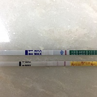 末次4.1日排卵4.23日  到今天大姨妈还没来 早孕试纸白板 排卵试纸弱阳  我很方