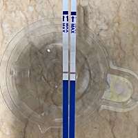 这是今天早上（左）和晚上（右）测出来的，很浅很浅，是怀孕了吗？上次月经是4月4号，我应该什么时候去...