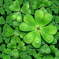 4.1来例假6天，今天都5.6还没来例假，例假推迟五天，这两天阴道时不时流出白色分泌物咋回事