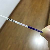 我看也有人晚上检测，试了睡觉前喝完牛奶去厕所检测，还挺明显的，这种会准吗？