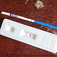 各位帮我看一下，这是种了吗？