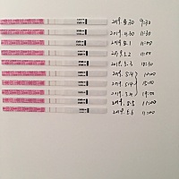 备孕好辛苦，完全不知道自己哪天排卵哪天强阳....上个月失败了都没信心了