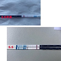 末次月经4月4号，试了好多试纸都是两条杠，第二条有点浅，但也还可以测出来，是怀孕了吗？大概多久可以...