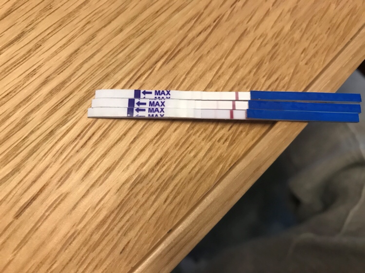 分别是昨晚 今早 和 刚才 测的
如果真有了…不是在意料之中的…
心情有点复杂
…