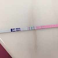 这个是排卵期吗。在线求答案