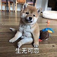 留级生了 😣 5.1号的预产期 到现在一点动静没有 假宫缩也很少 这是要闹哪样  有没有同样情况的孕妈啊 ...