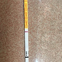 上个月1号来月经，这个到现在还没有来月经，爱爱没有做任何措施，金秀.儿排卵也是白板，啥情况？