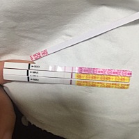 这是有了吧姐妹们帮忙确认一下