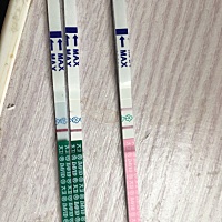 姐妹们，能帮忙看下这是怎么回事吗？ 4月12日末次月经。排卵试纸是昨天晚上测的，早孕试纸前天有半个杠...