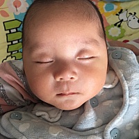 真的是什么都做不了，晚上睡觉哼哼唧唧手脚乱动，但至少不醒，白天就非得抱着睡，一放就哭，好羡慕那些...