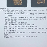 四维做了三次顺利通过，主要宝宝一直把手放在脸上，一直不配合拿下去，爬楼梯吃巧克力还是不拿下去，最...