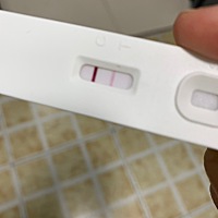 4月25号排卵，刚刚测的求问是不是怀上啦！