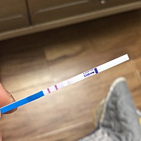 二胎猪宝宝已经怀上了，大宝剖腹产，现在2岁过一点，猪宝宝的预产期和之前大宝相差了1天，感觉是缘分，...