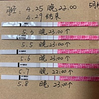 是不是要等到两根都一样红才说明排卵？还是两根线都一样红了准备排卵？懂得来跟我说说。赐教🙏这样是...