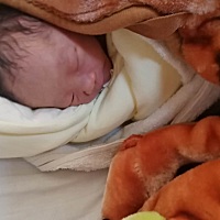 前天宫缩疼的想死，打了无痛，这种痛撕心裂肺，昨天医生告诉羊水太过少，就算宫口开完也生不出来，无奈...